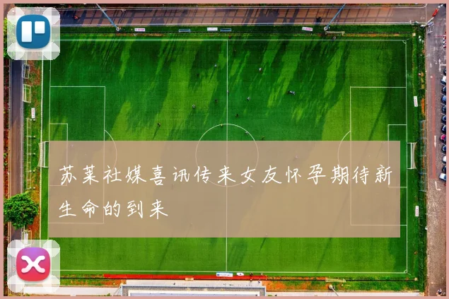 苏莱社媒喜讯传来女友怀孕期待新生命的到来
